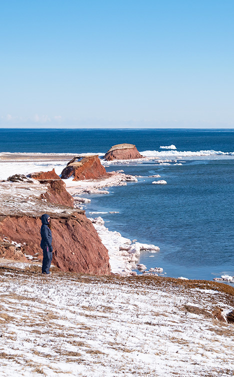 Les artistes des Îles-de-la-Madeleine